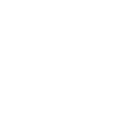 icon-image